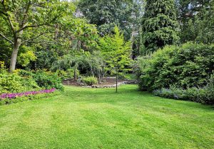 Optimiser l'expérience du jardin à Doncourt-les-Longuyon